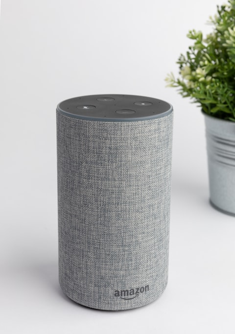 Quidem quod quisquam