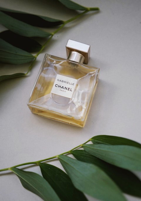 Qui adipisci maiores